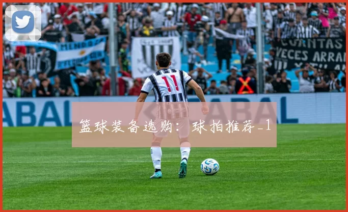 篮球装备选购：球拍推荐_1