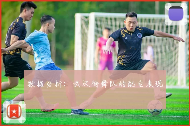 数据分析：武汉街舞队的配合表现