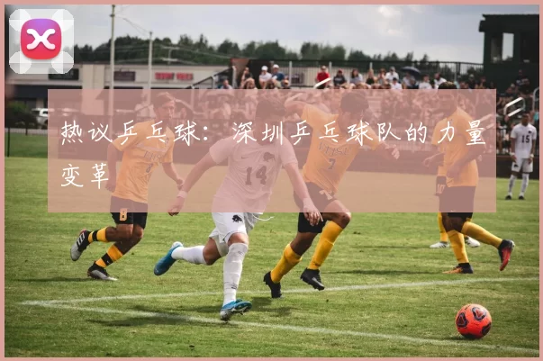 热议乒乓球：深圳乒乓球队的力量变革