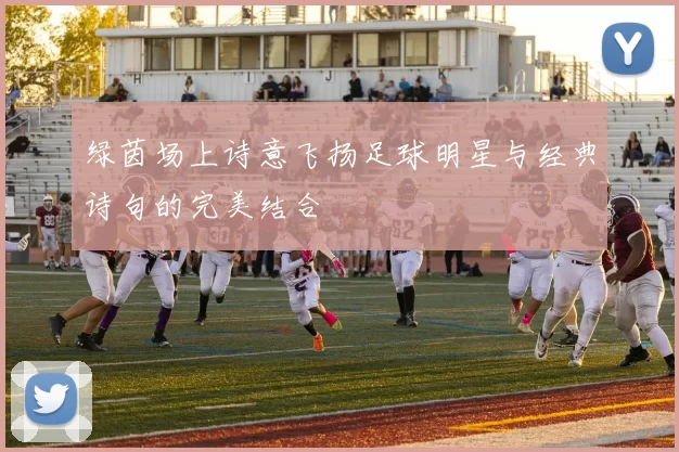 绿茵场上诗意飞扬足球明星与经典诗句的完美结合