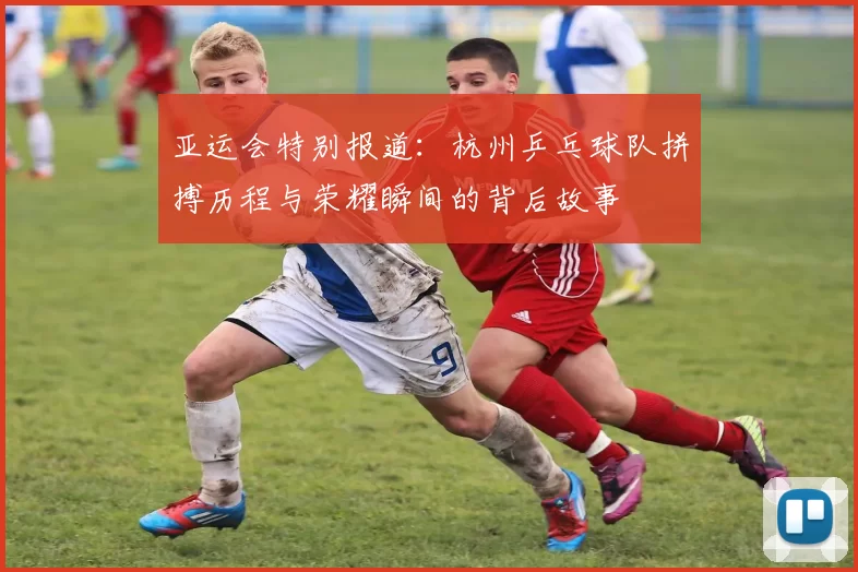 亚运会特别报道：杭州乒乓球队拼搏历程与荣耀瞬间的背后故事
